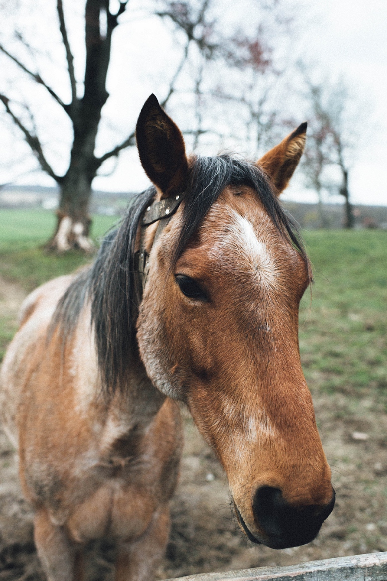 CountryRusticEngagement_Mallory+Justin-42.jpg