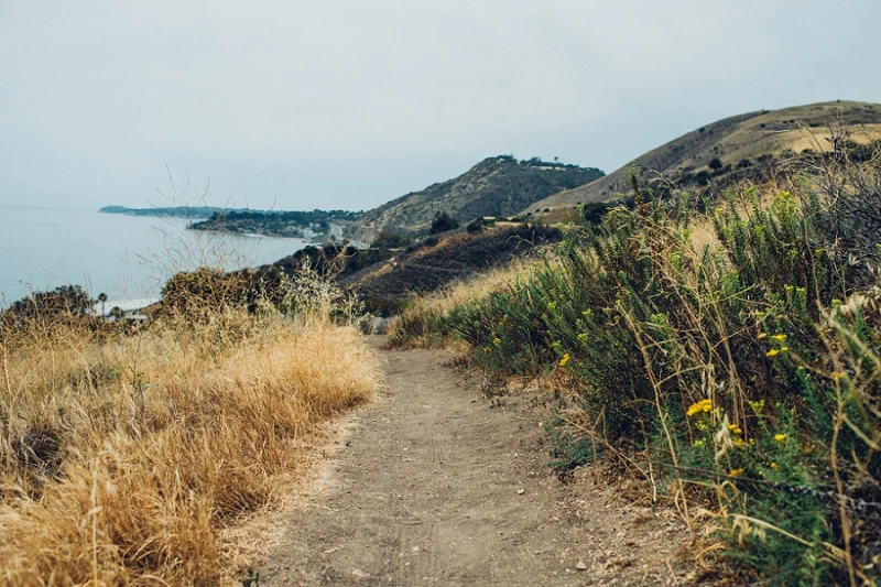 MemorialDay_Malibu_California-23.jpg