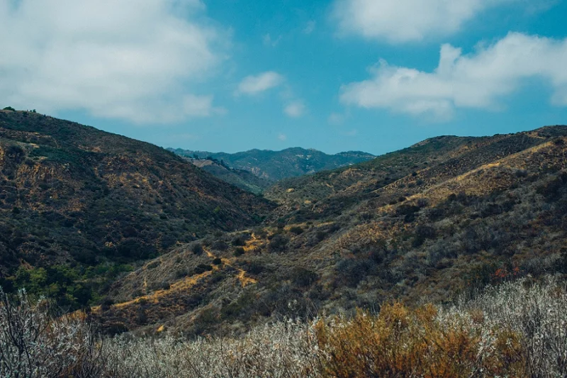 MemorialDay_Malibu_California-28.jpg