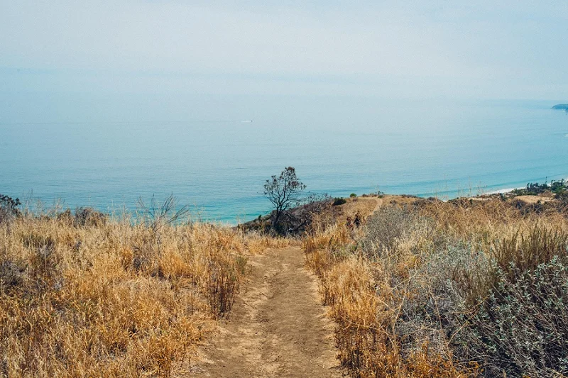 MemorialDay_Malibu_California-39.jpg