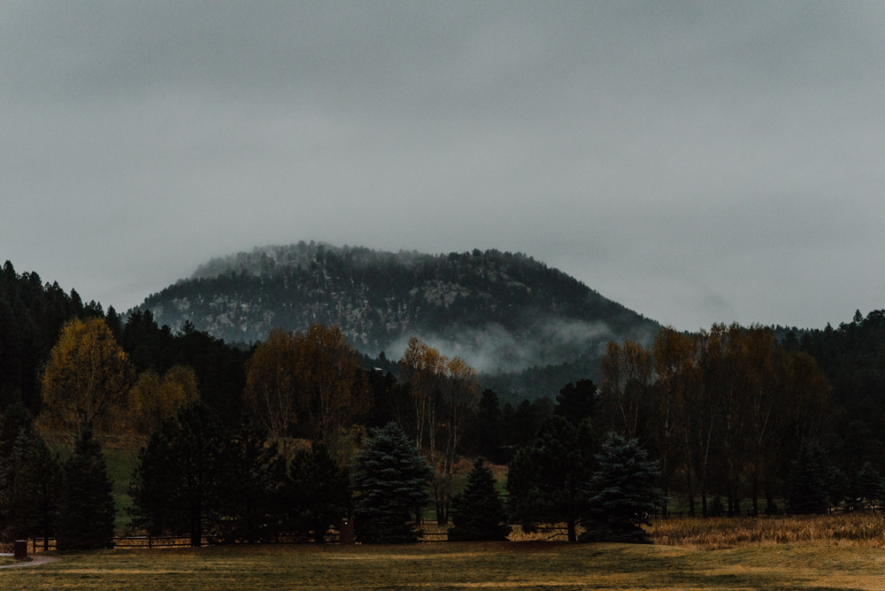 Evergreen-Lakehouse-Wedding-Colorado-Mallory+Justin-Photo-253.JPG