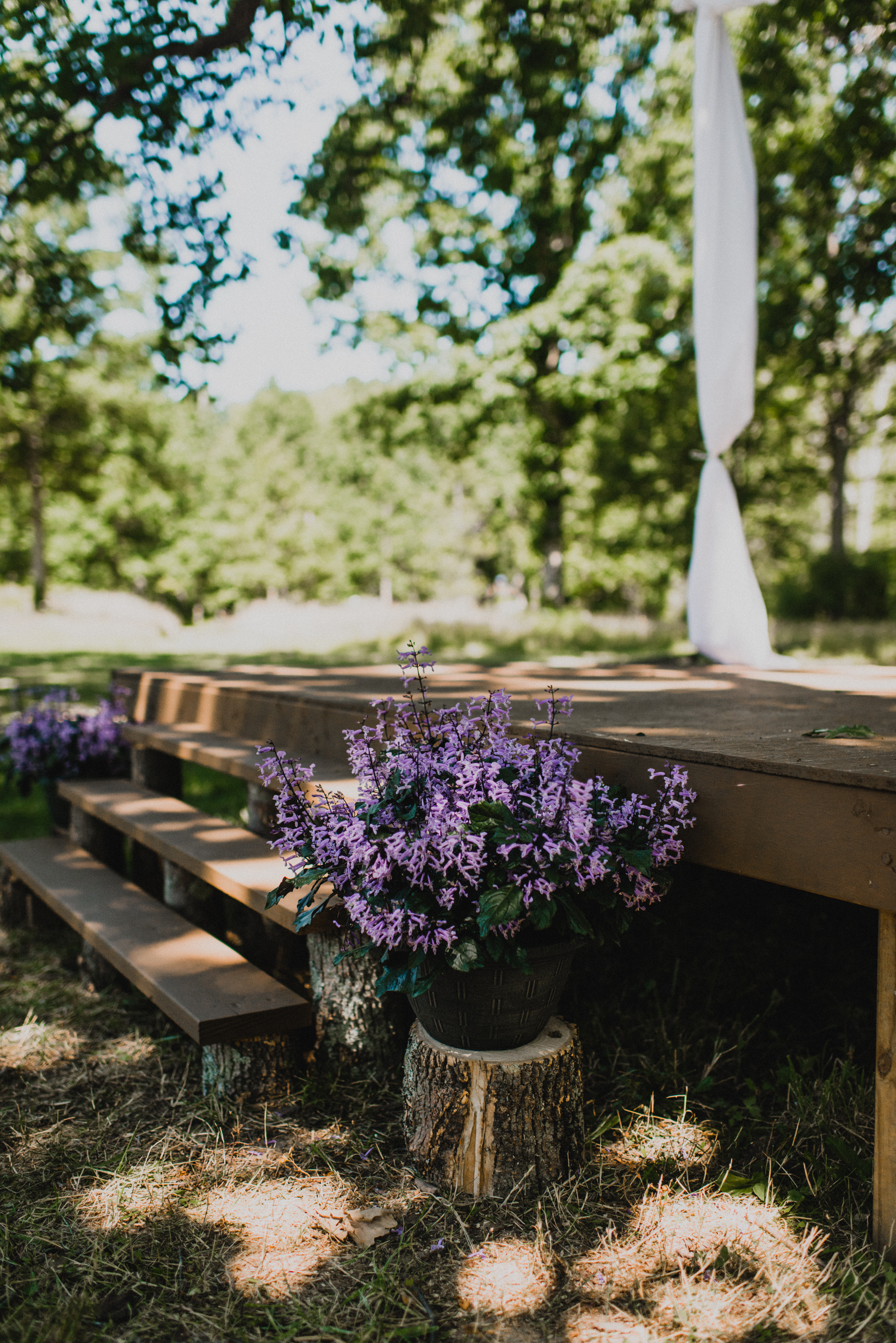 Intimate-Backyard-Farmhouse-Ohio-Wedding-Andi+Ben_Mallory+Justin-Photographers-2.JPG