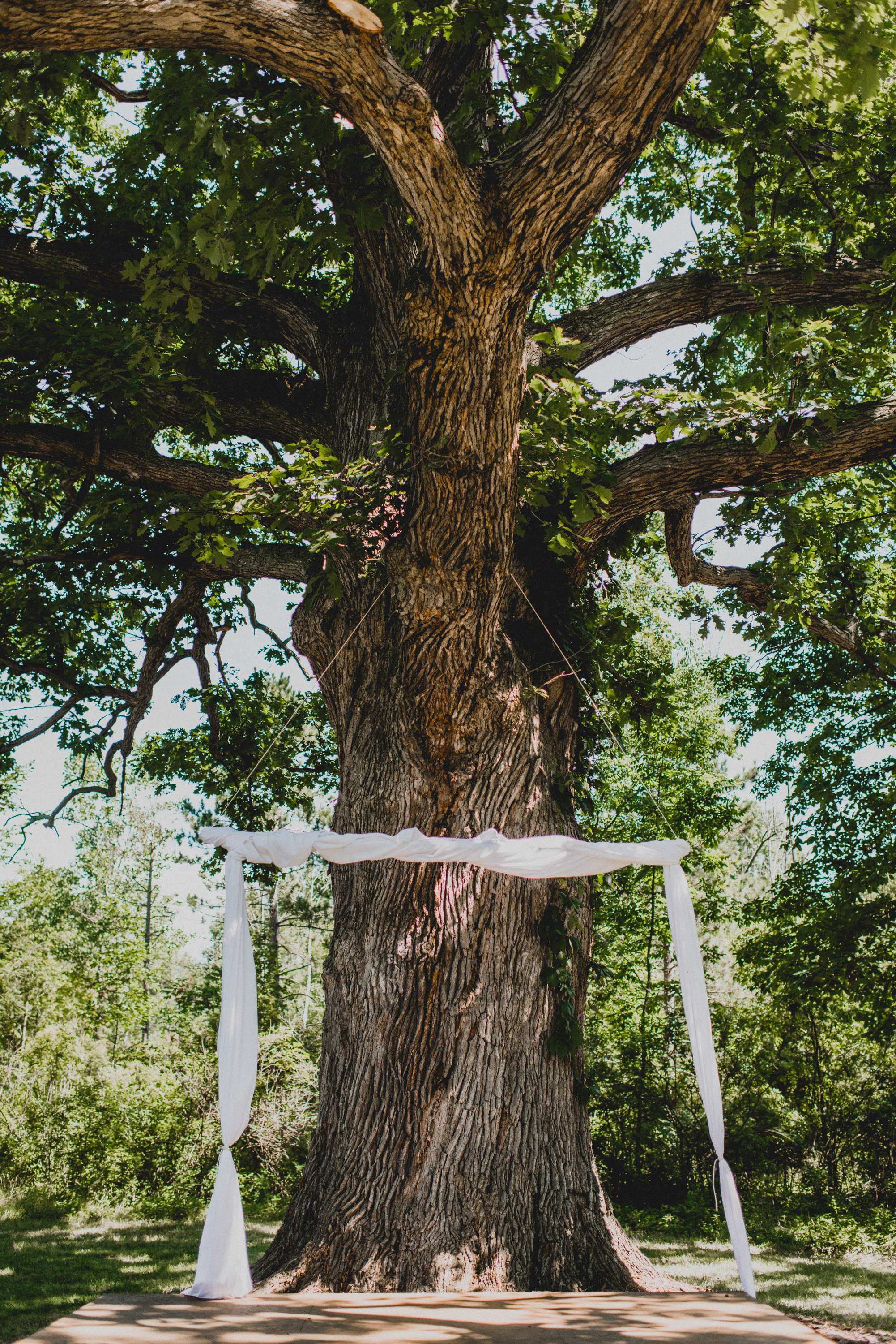 Intimate-Backyard-Farmhouse-Ohio-Wedding-Andi+Ben_Mallory+Justin-Photographers-4.JPG