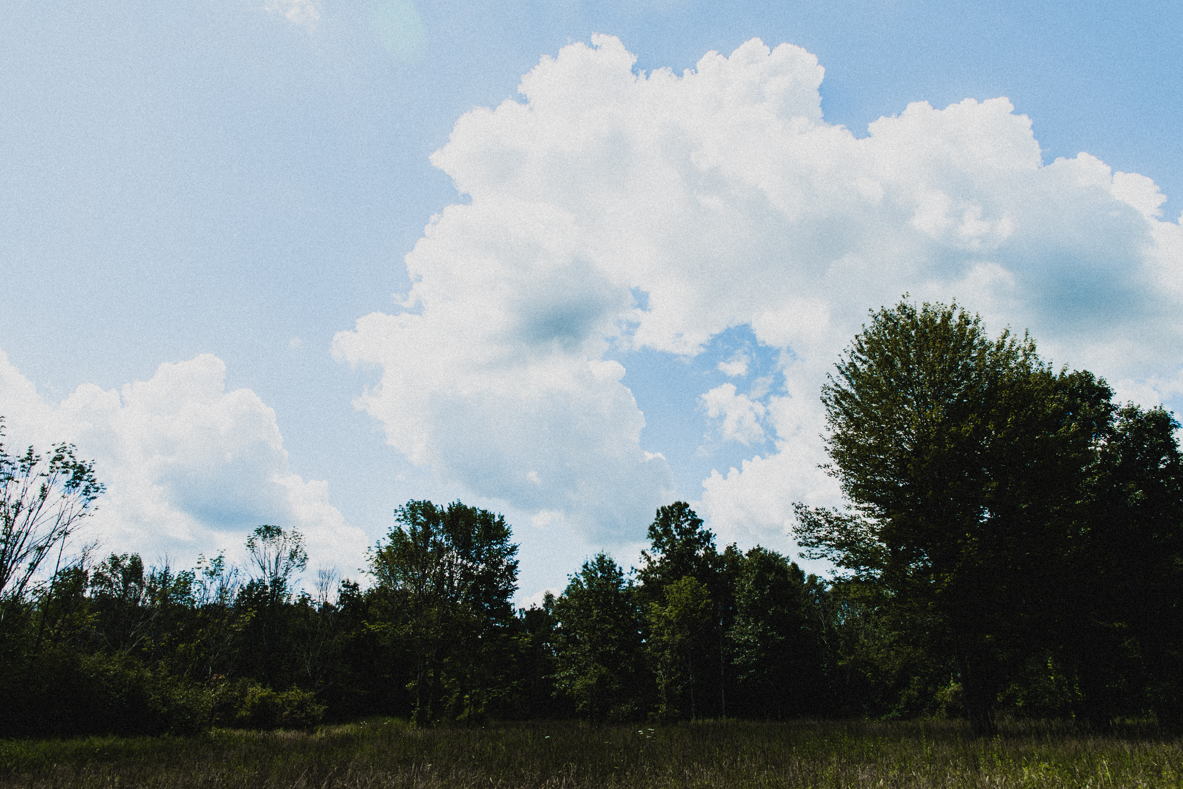 Intimate-Backyard-Farmhouse-Ohio-Wedding-Andi+Ben_Mallory+Justin-Photographers-31.JPG