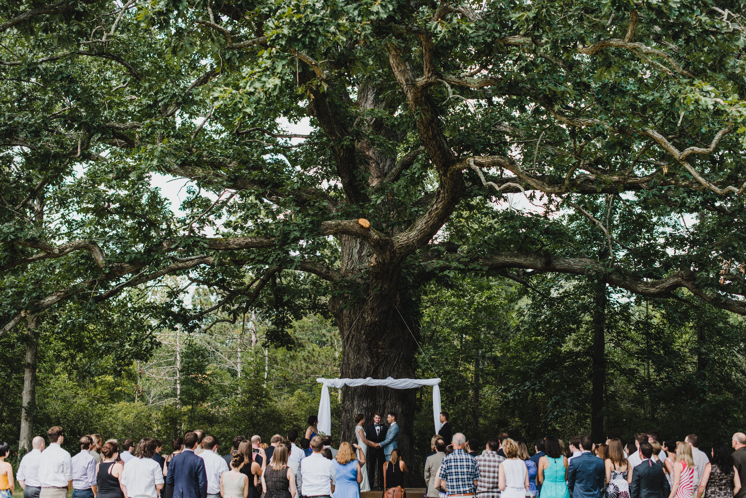 Intimate-Backyard-Farmhouse-Ohio-Wedding-Andi+Ben_Mallory+Justin-Photographers-152.JPG