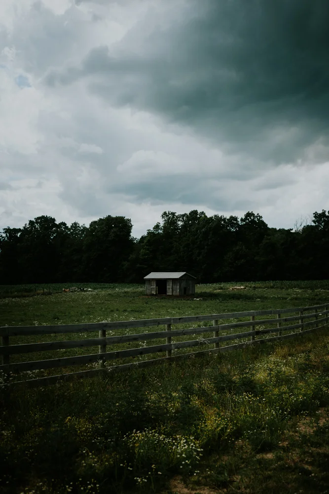 Peacock-Ridge-Farm-Wedding-MalloryandJustin-Photographers-34.jpg