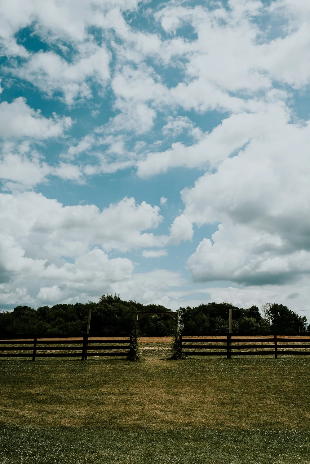 Peacock-Ridge-Farm-Wedding_Natalya+Charlie_MJPHOTO-122.jpg