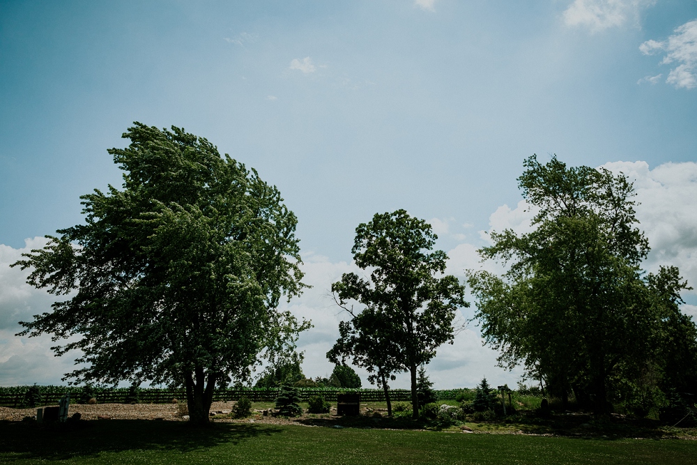 Peacock-Ridge-Farm-Wedding_Natalya+Charlie_MJPHOTO-154.jpg