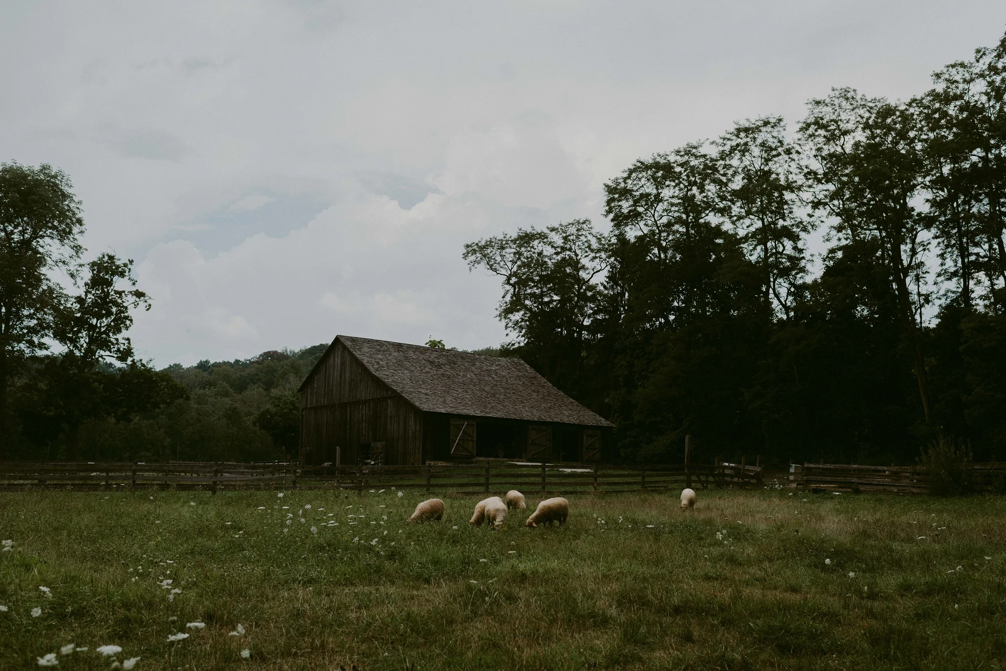 Hines-Hill-Farm-Cuyahoga-Valley-National-Park-Wedding_Emi+Andy_MJPHOTO-13.jpg