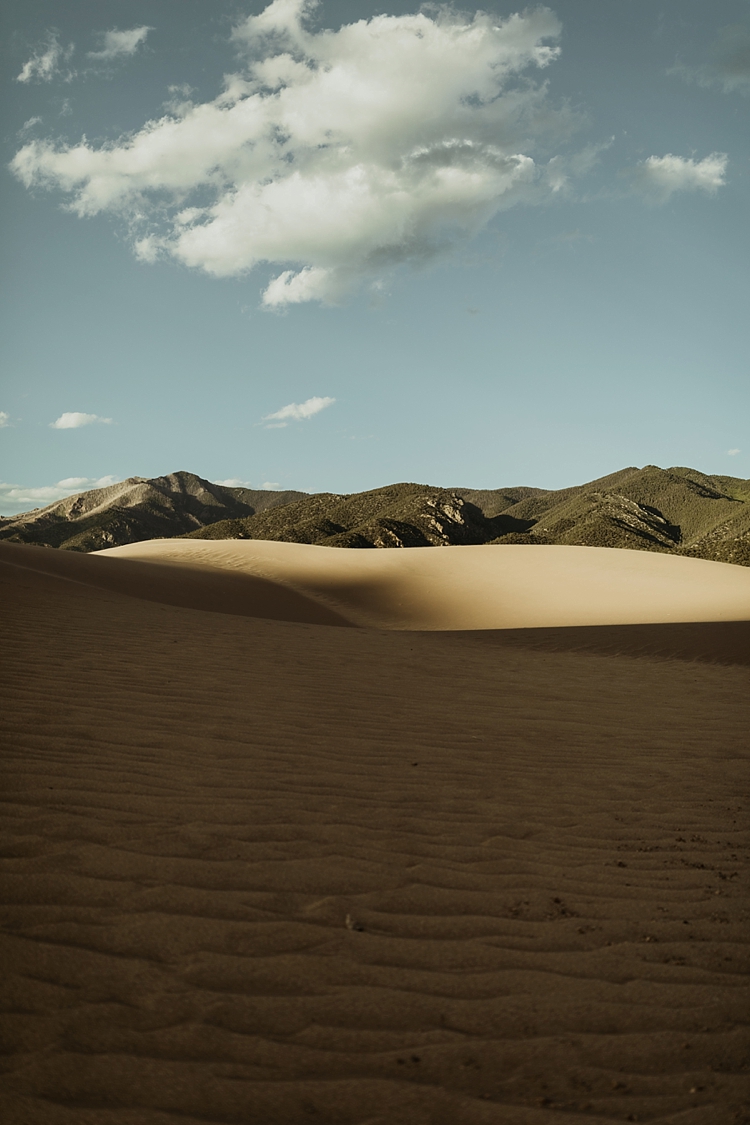 Sunset-Sand-Dunes-Adventure-Session_MJPHOTO-209.jpg