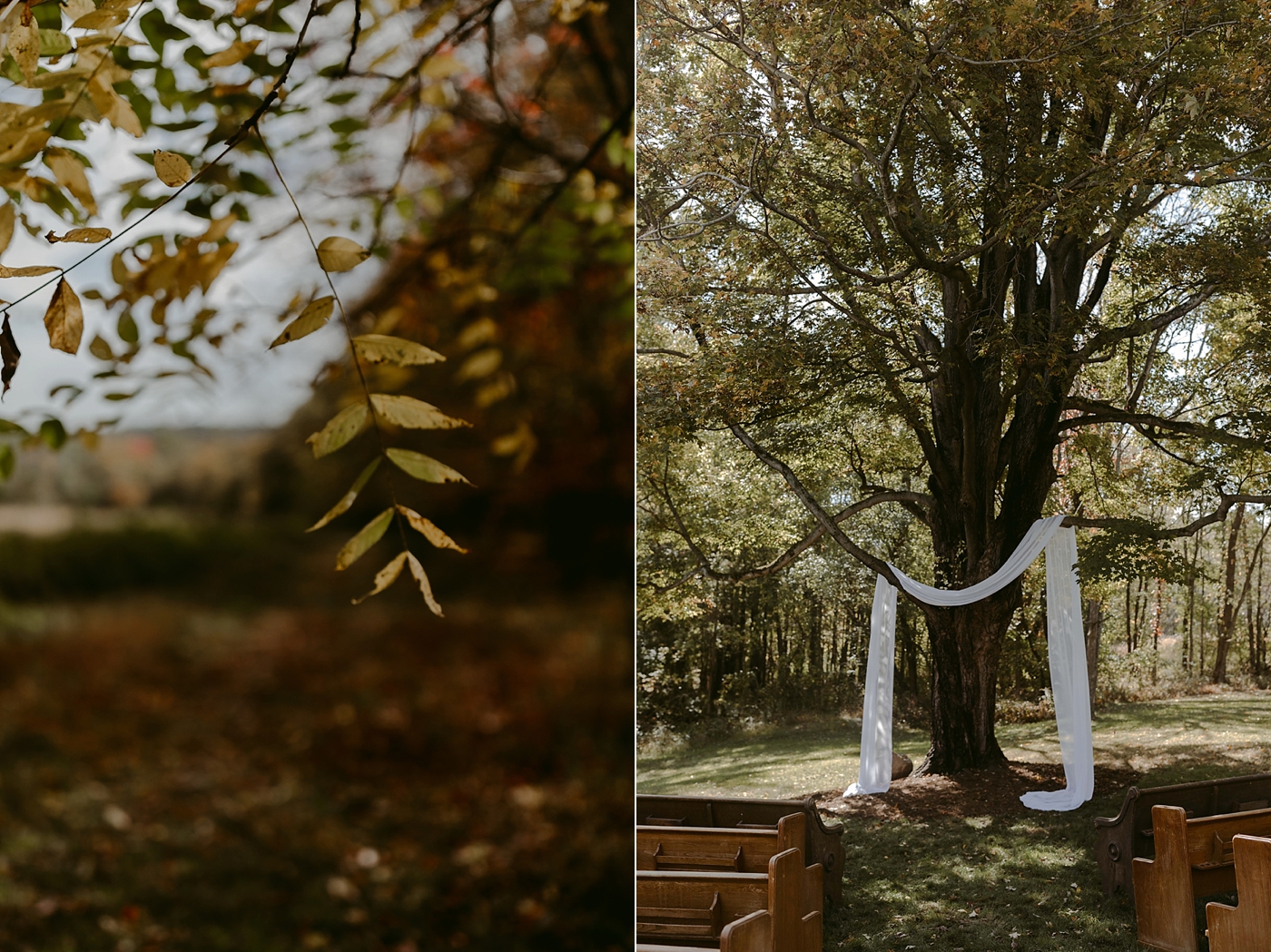 October-Backyard-Wedding_Rachel+Brian_MJPHOTO-3.jpg