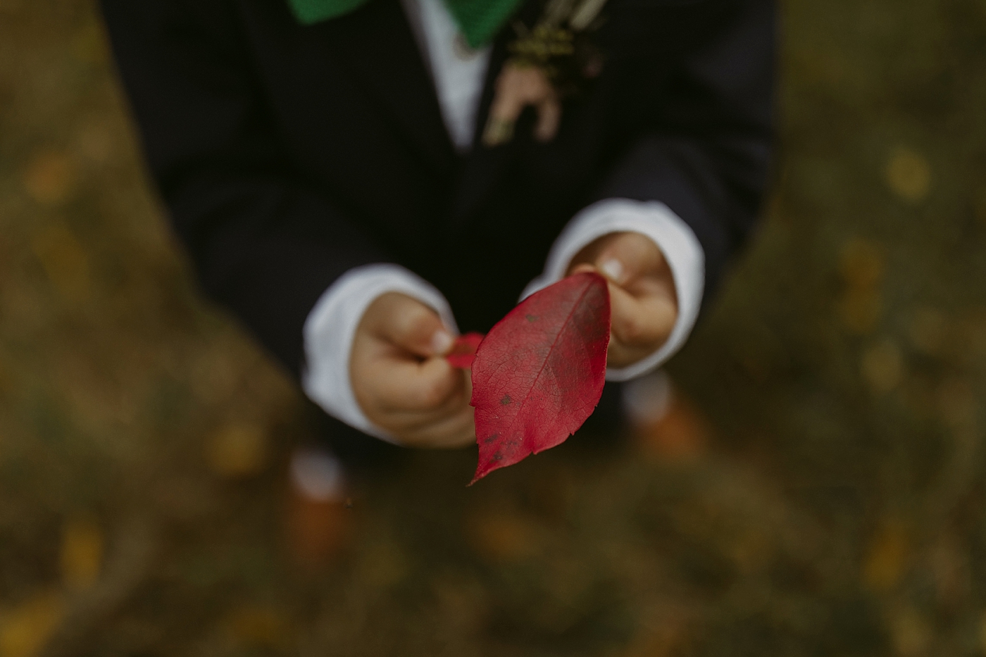 October-Backyard-Wedding_Rachel+Brian_MJPHOTO-450.jpg