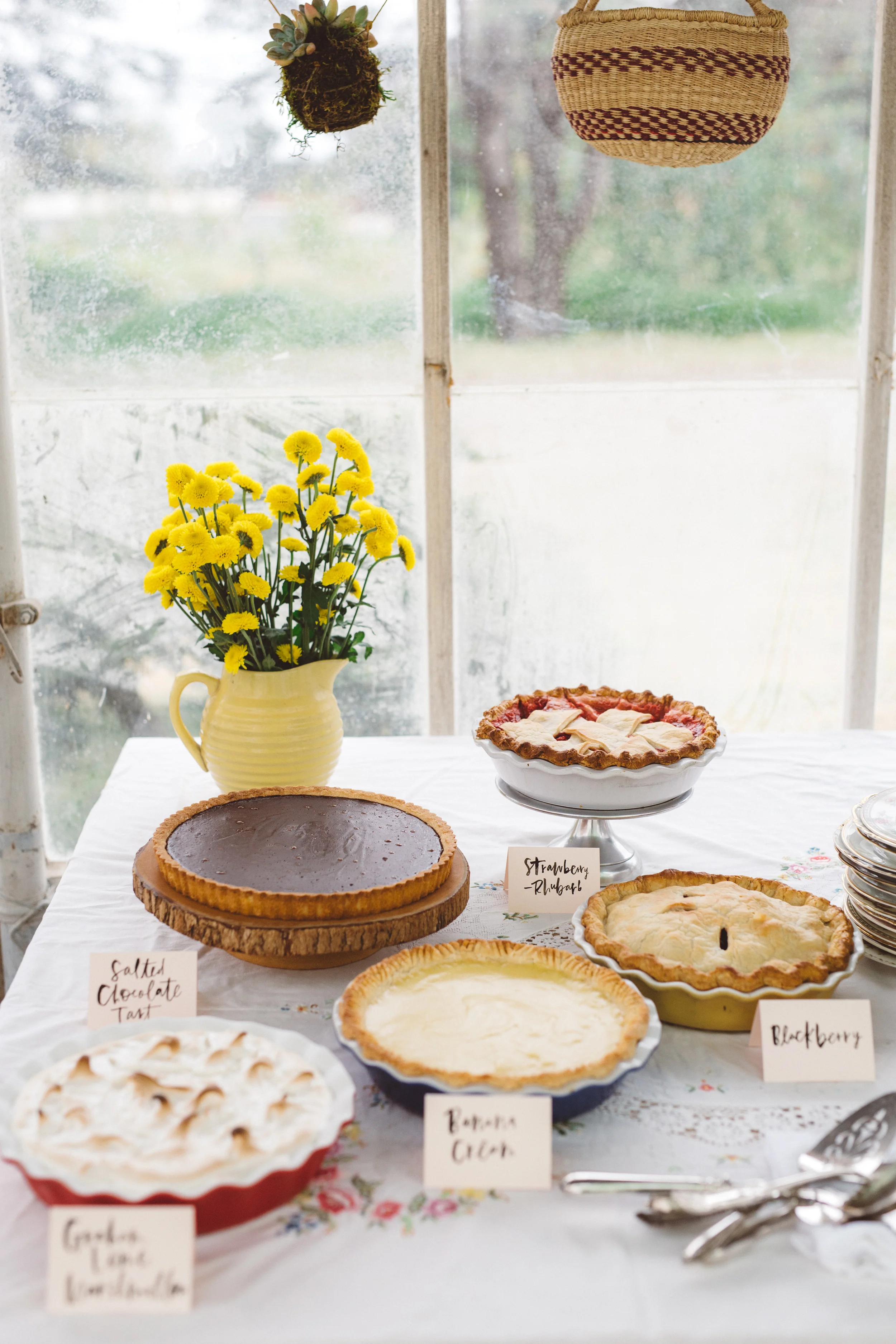 A collection of pies Photo by Emily Reiter of Anna Delores Photography