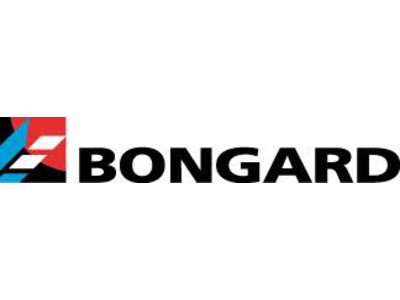 Bongard.jpg