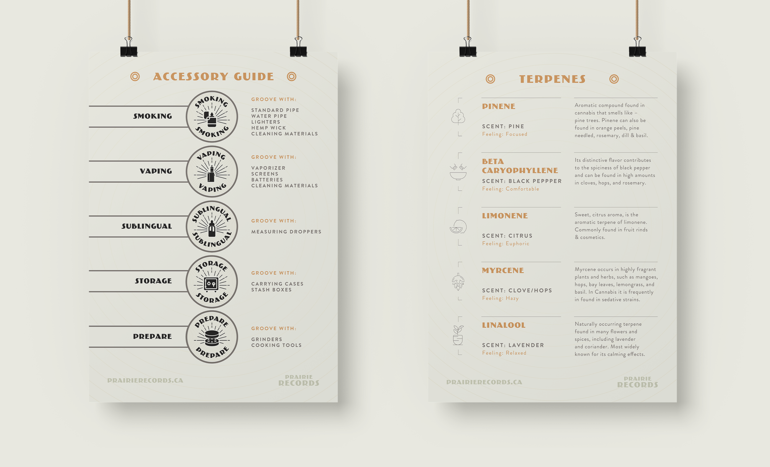 Artboard 1 copy 17.png