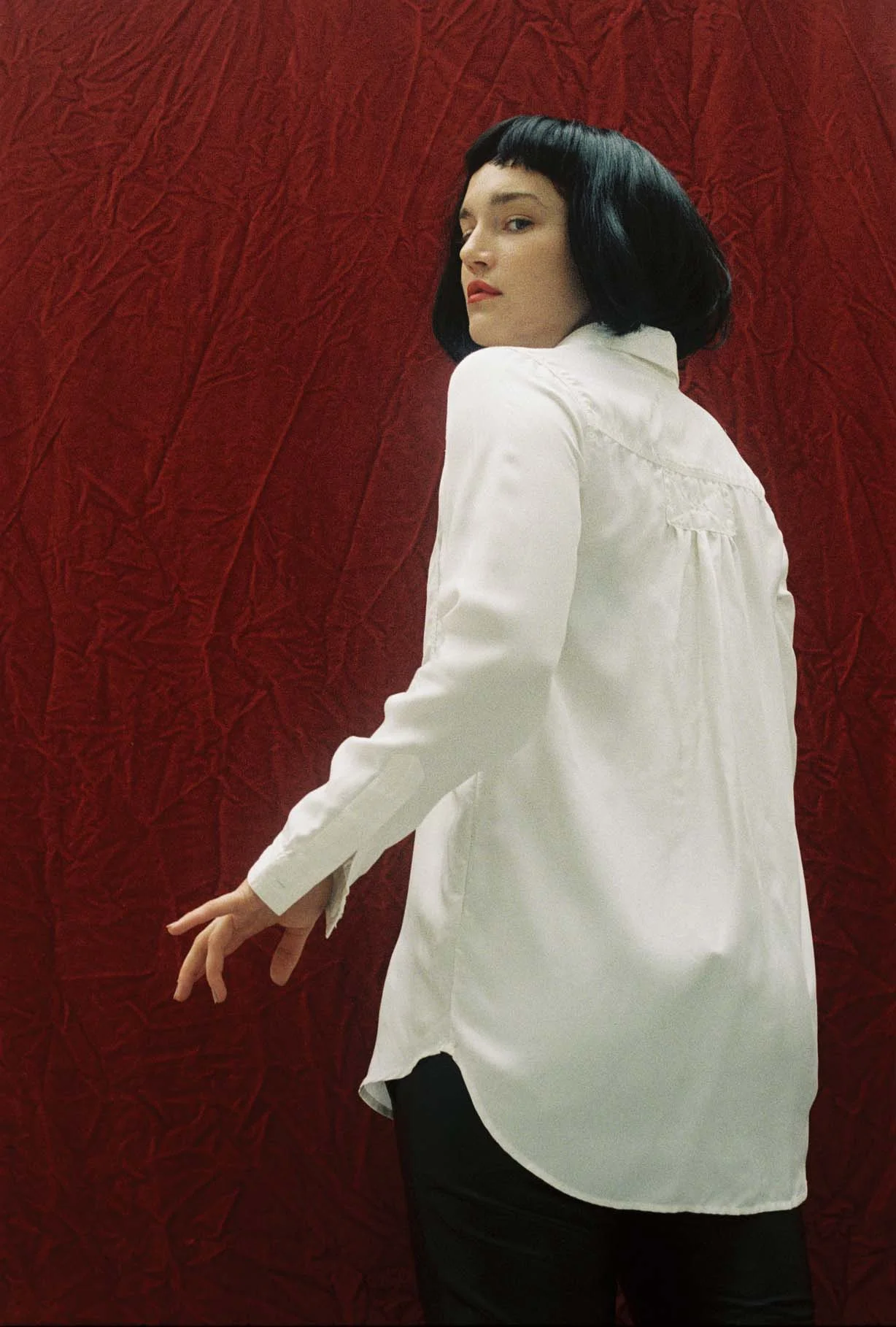 Shirty by LF Markey 
