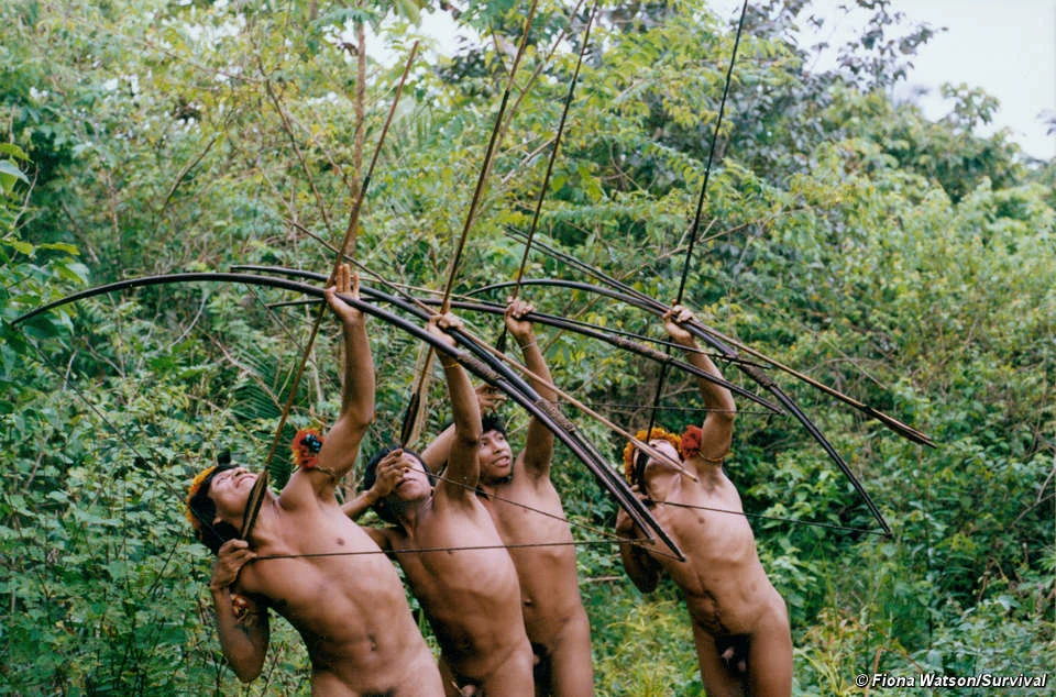 Photo © Fiona Watson/Survival International
