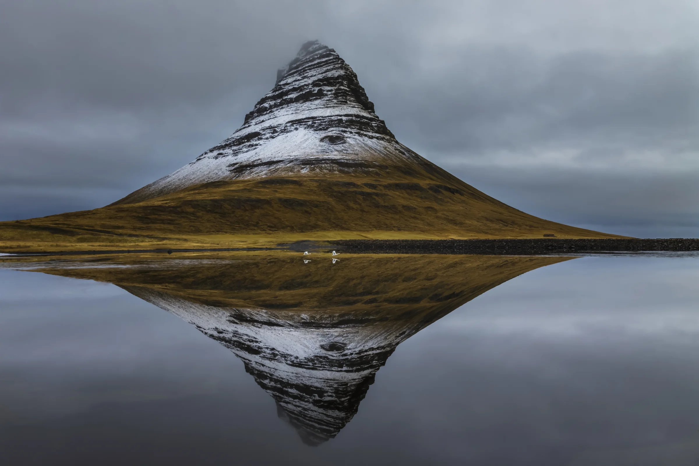 Earth Is My Witness : Kirkjufell and Whooper swans, Vesturland, Iceland