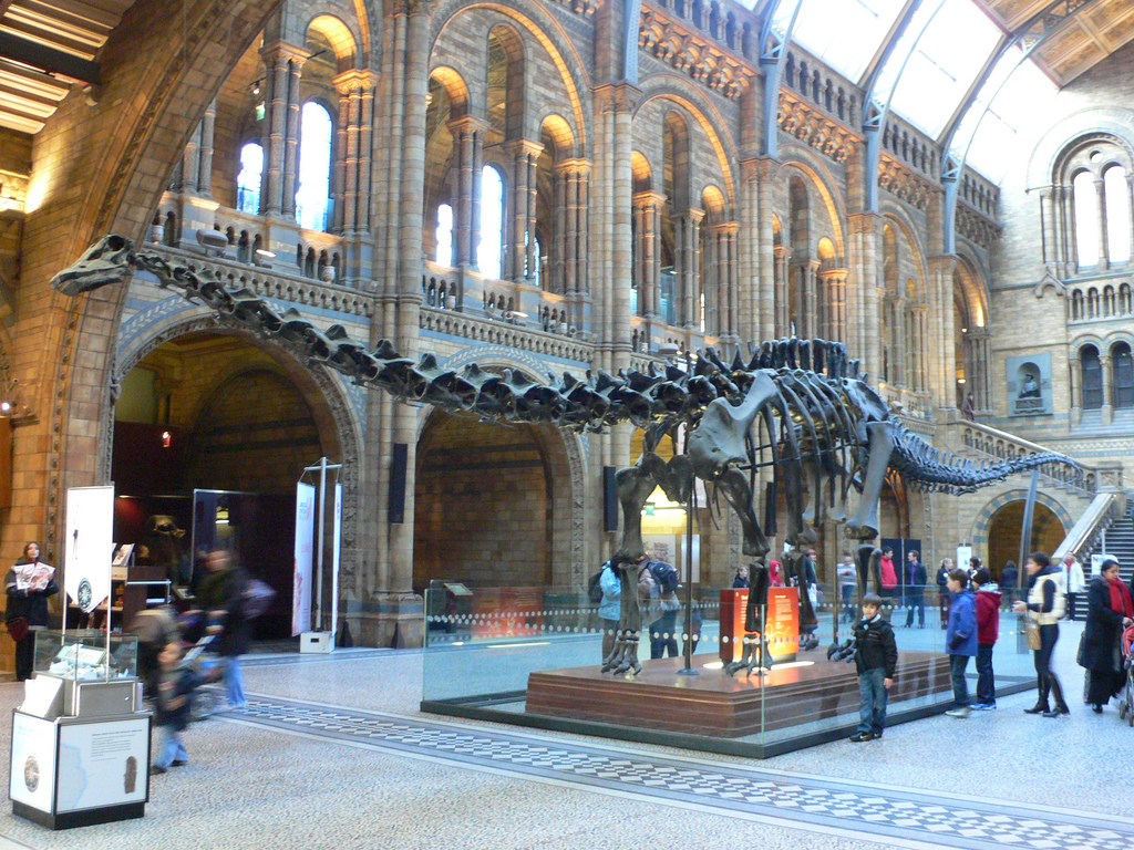 Entrance Hall at the National History Museum