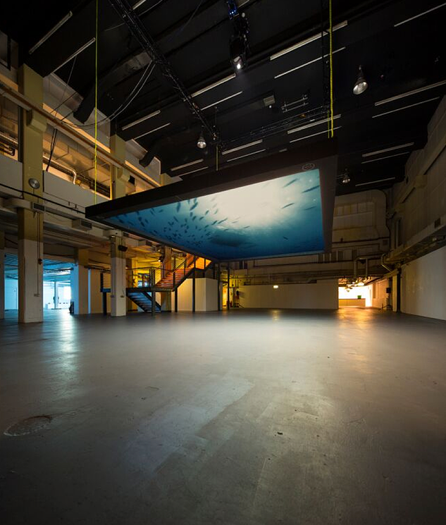 Installation view, photo by David Freeman