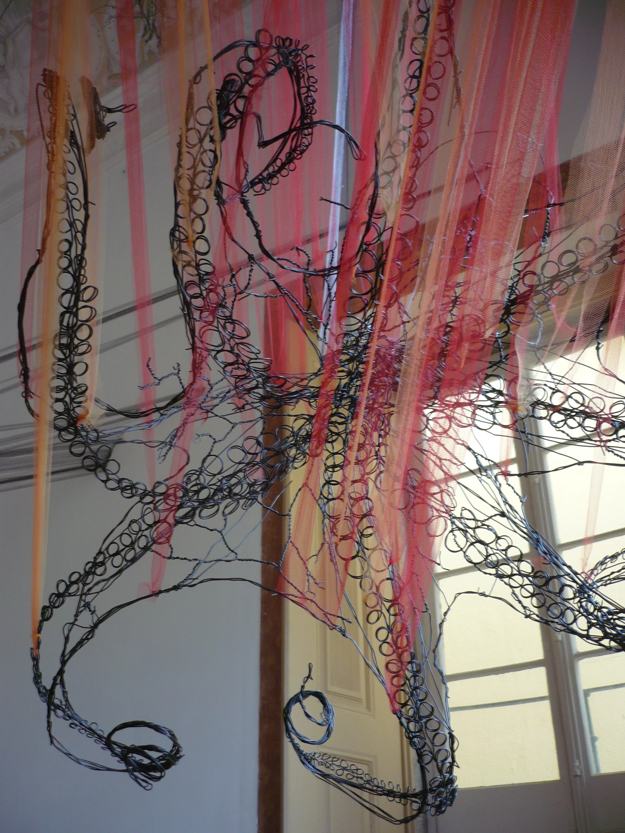 Octopus , Full Motion / Movimento Total, 2015