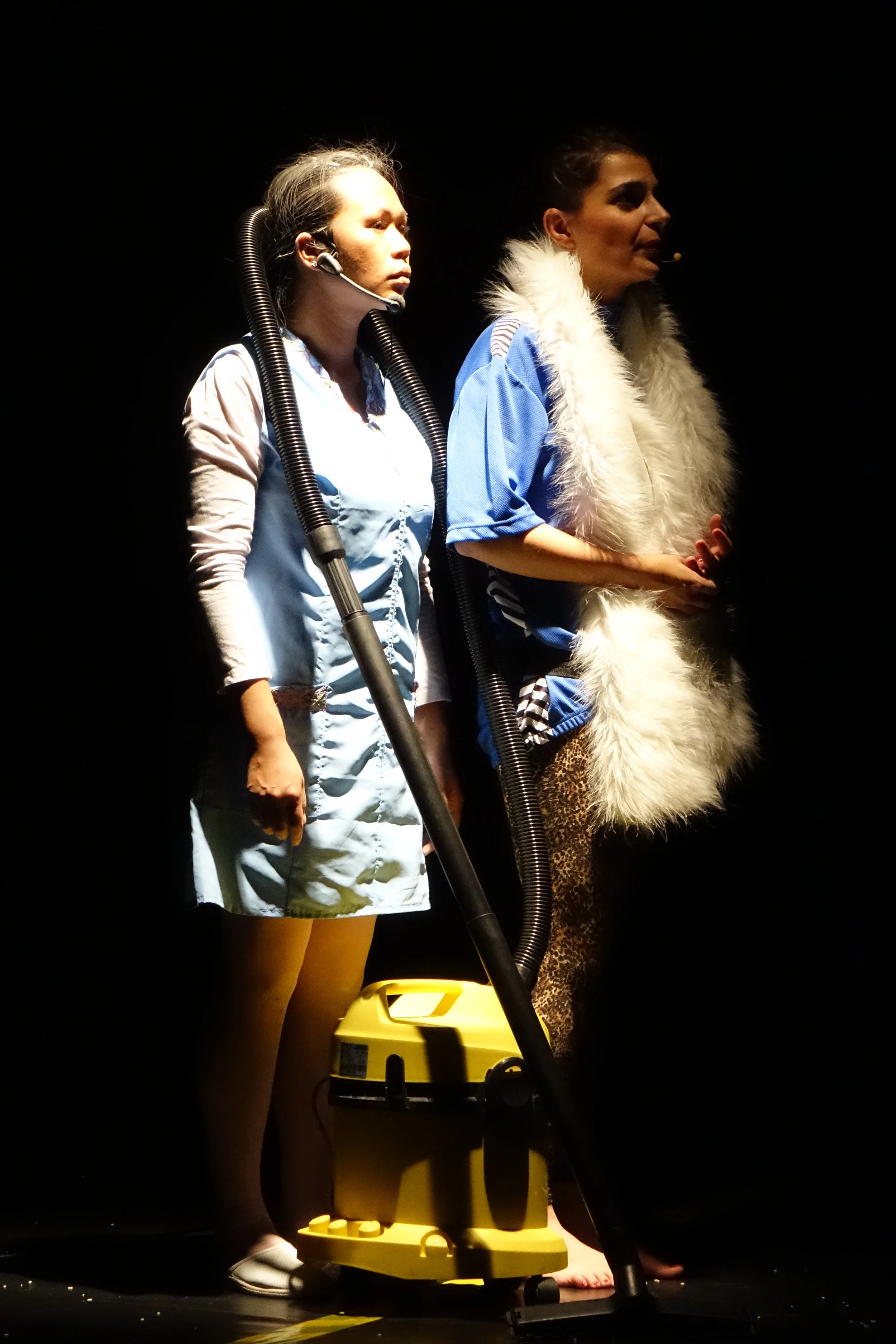 YNIA and Smaranda Nicolau in Domestic Products, Photo: Marina Ungureanu