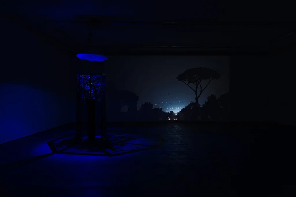 Installation view: ' Caverne ’ e xhibition at WENTRUP, Berlin