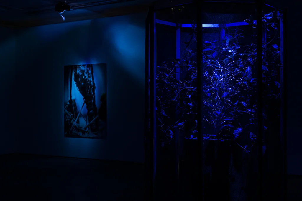 Installation view: ' Caverne ’ e xhibition at WENTRUP, Berlin