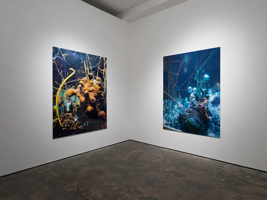 Installation view: ' Caverne ’ exhibition at WENTRUP, Berlin