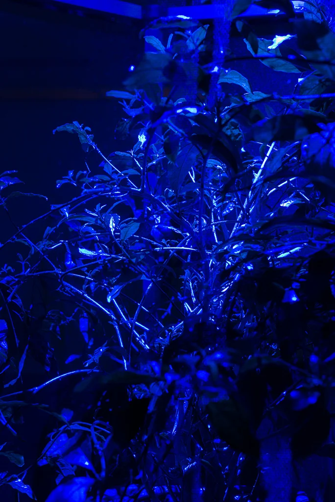 Installation view: ' Caverne ’ e xhibition at WENTRUP, Berlin