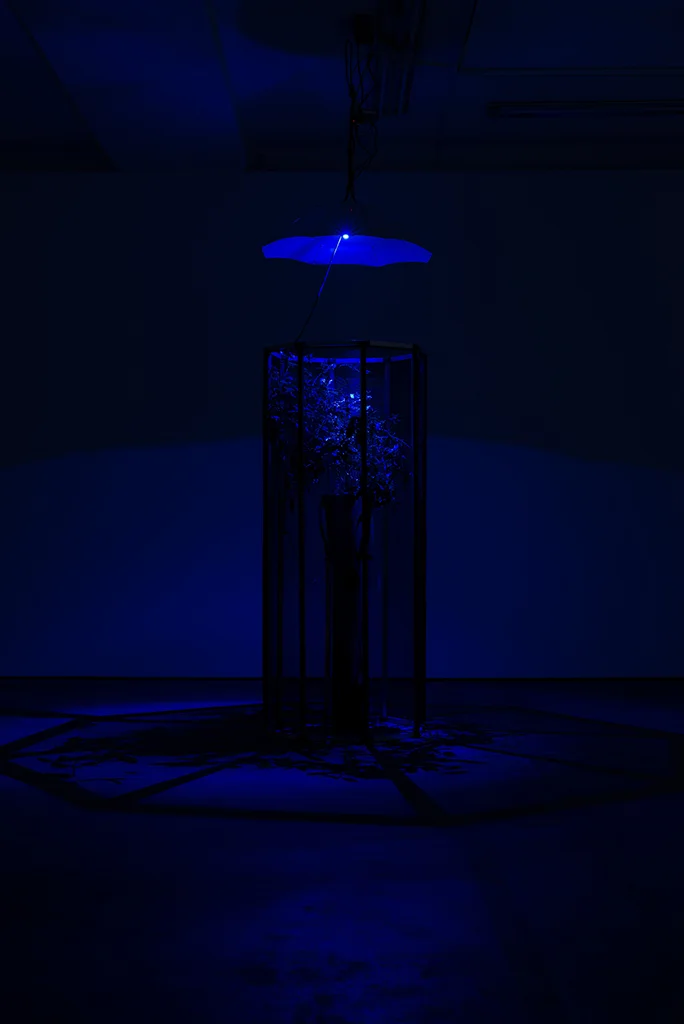 Installation view: ' Caverne ’ e xhibition at WENTRUP, Berlin