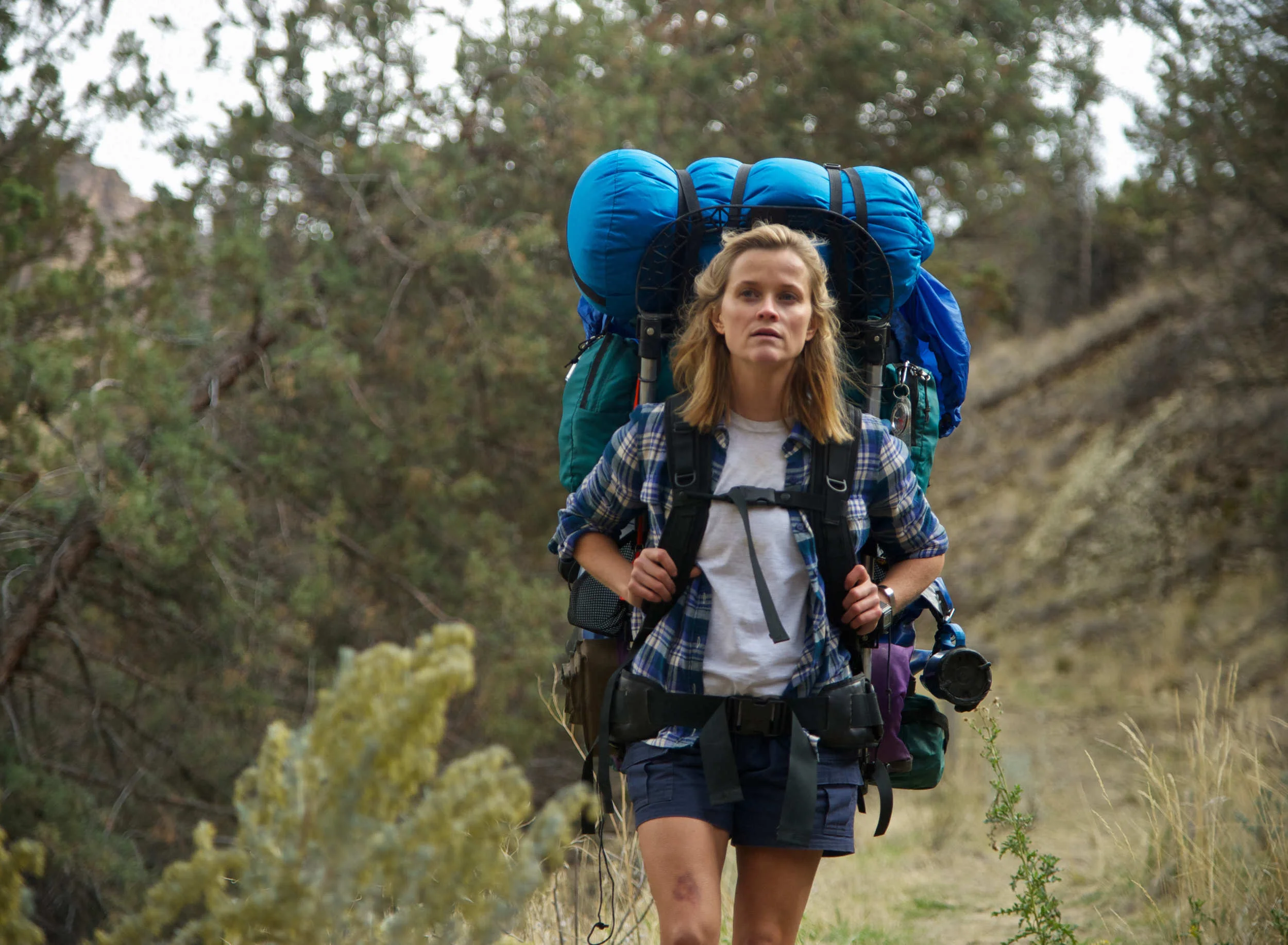 Still shot from ' Wild ', starring Reese Witherspoon, 2014
