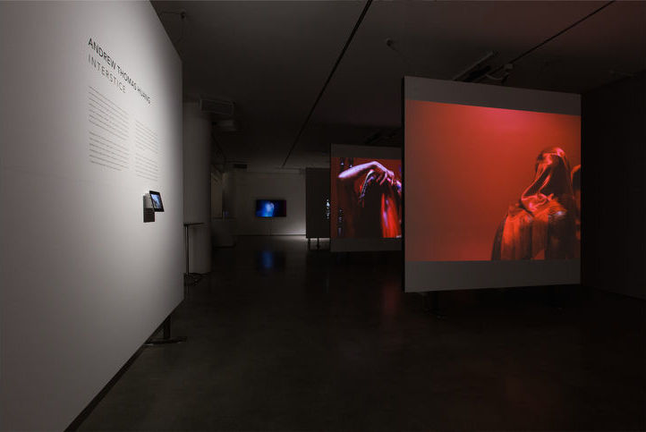 Exhibition view ' Interstice' at Milk Gallery, 2016