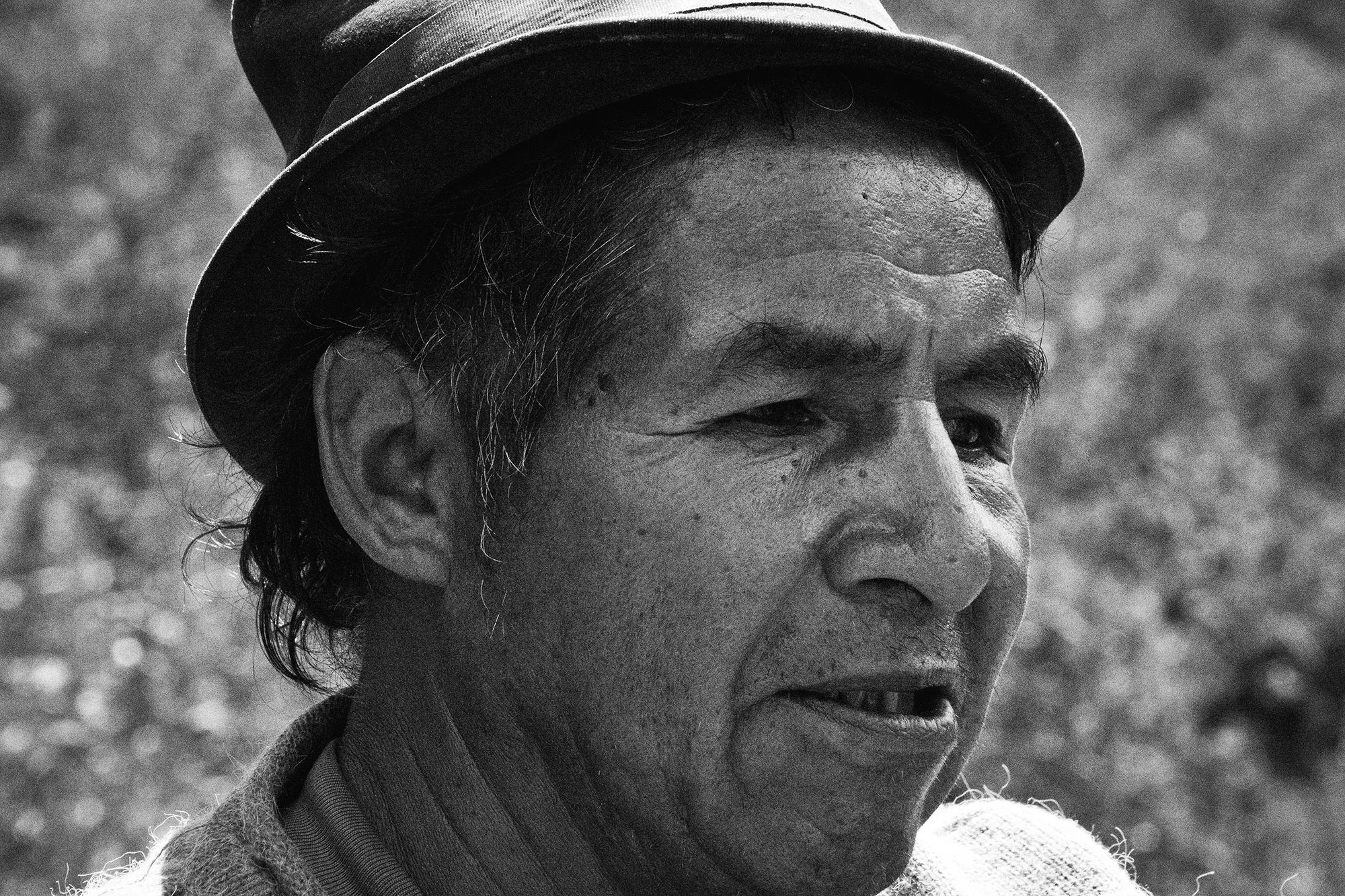 Julio Almendra, 2014.
