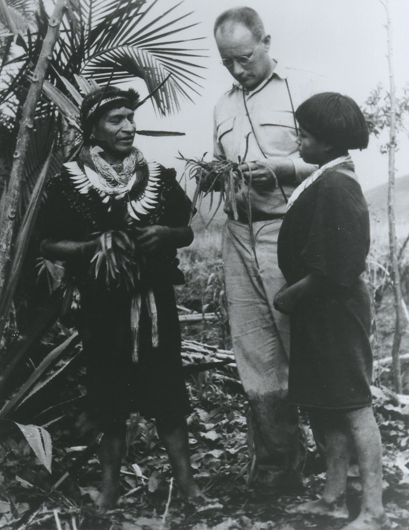 Dr. Richard Evans Schultes in the Amazon, 1940.