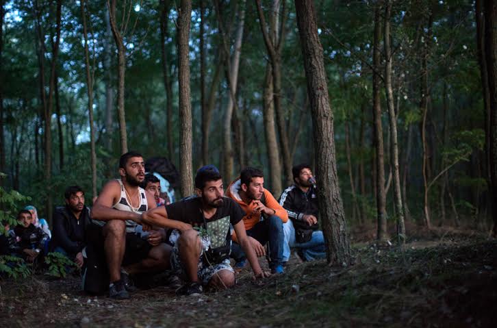 Refugees wait in a forest near Röszke to get pass the police from Serbia to Hungary. Photo by Dan Kitwood/Getty Images.