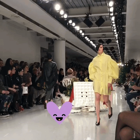 Ashley William_AW17.gif