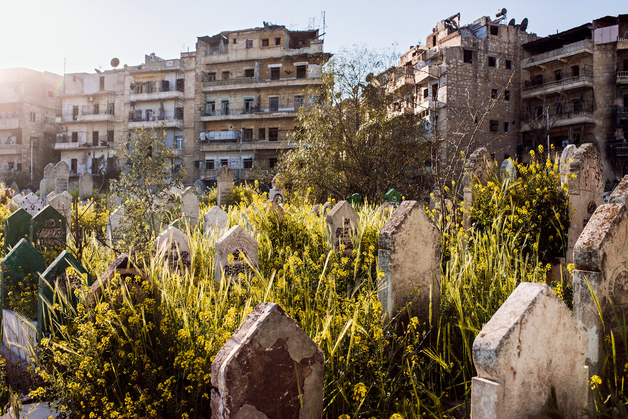 A cemetery near the Old City in Syria. Photo by Sebastián Liste for The New York Times .