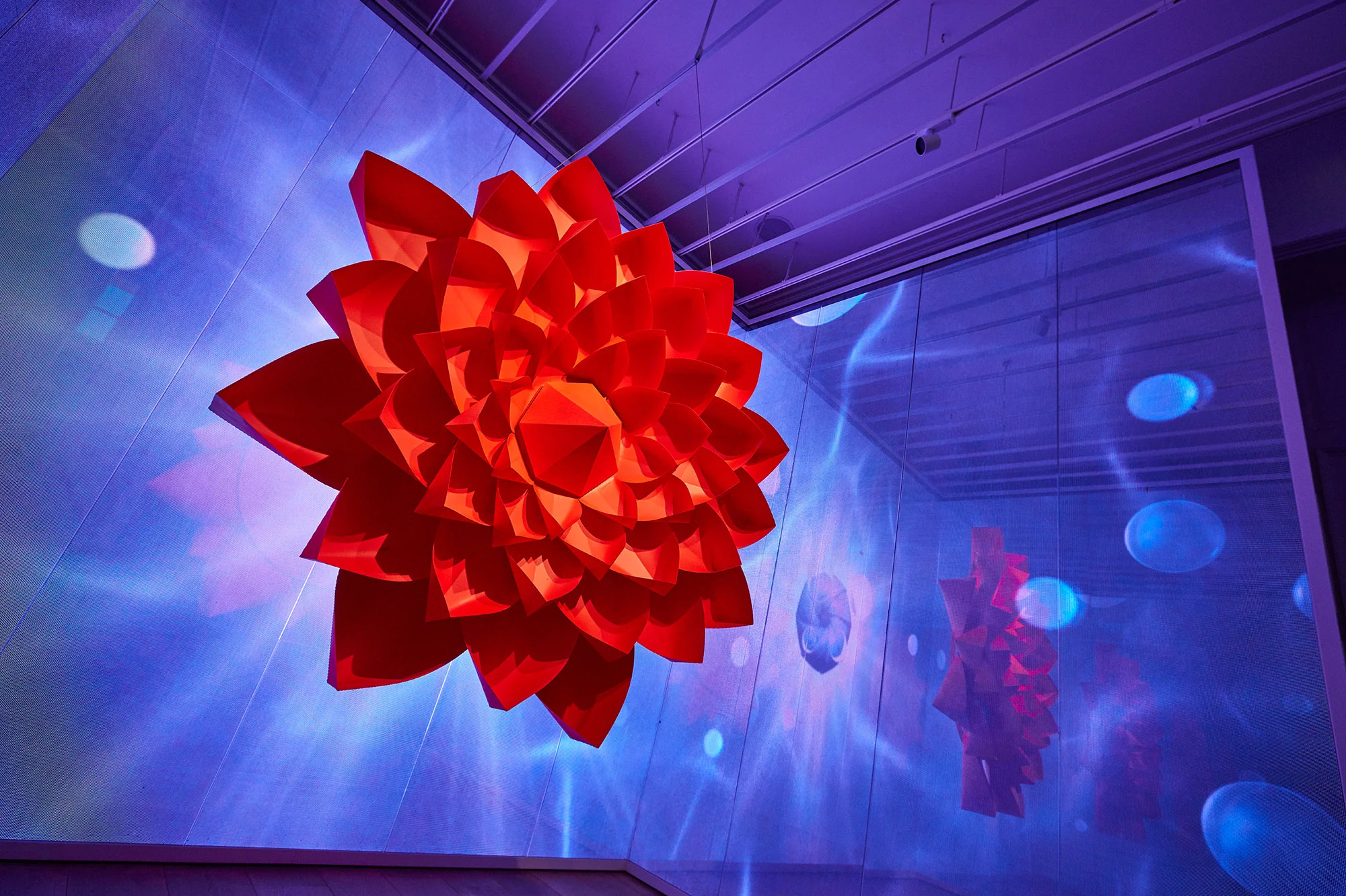 Installation view of Zoe Bradley's Neon Garden exhibition at Galeria Melissa.