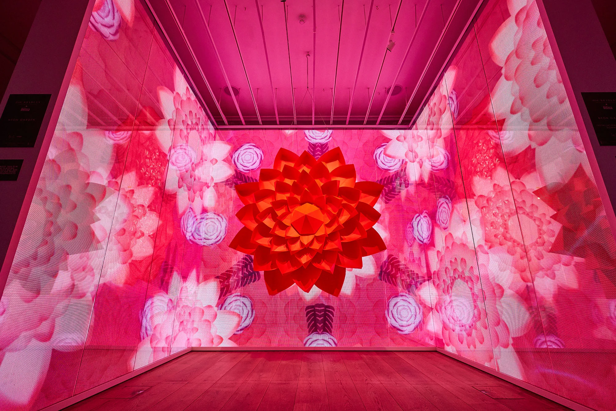 Installation view of Zoe Bradley's Neon Garden exhibition at Galeria Melissa.