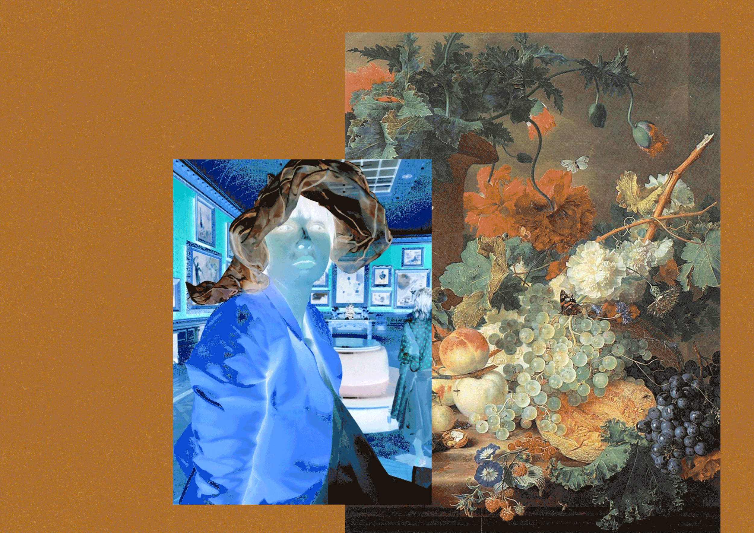 5.gif