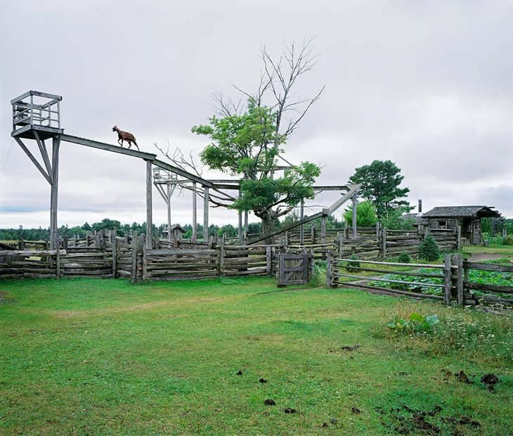 Mockin'bird Hill , 2004 by Thomas Bangsted.