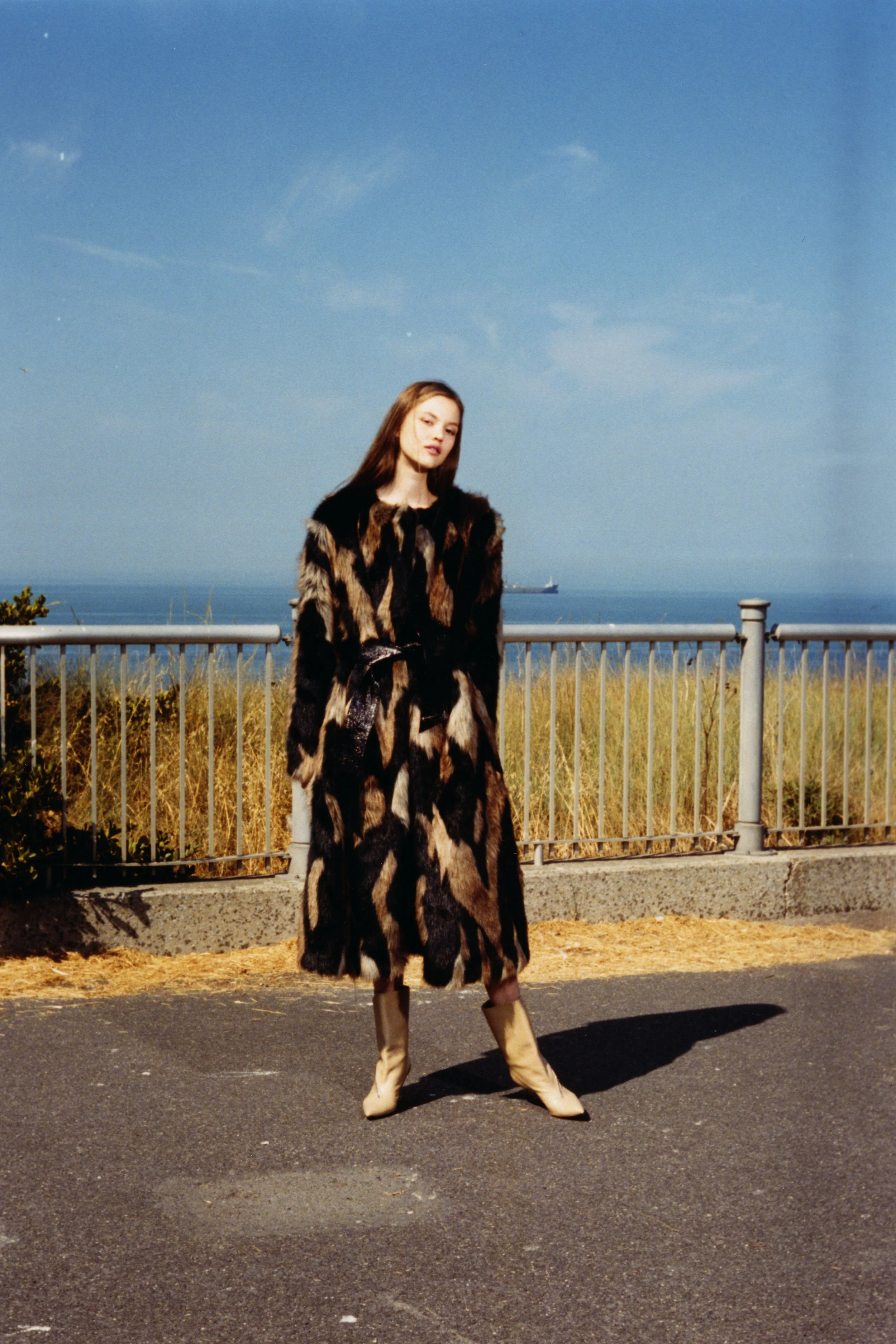 ROLLACOASTER028.jpg