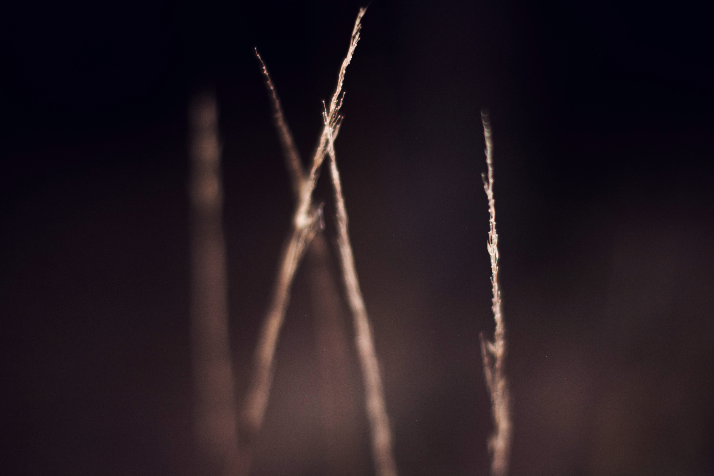 160315isp-1ps.jpg