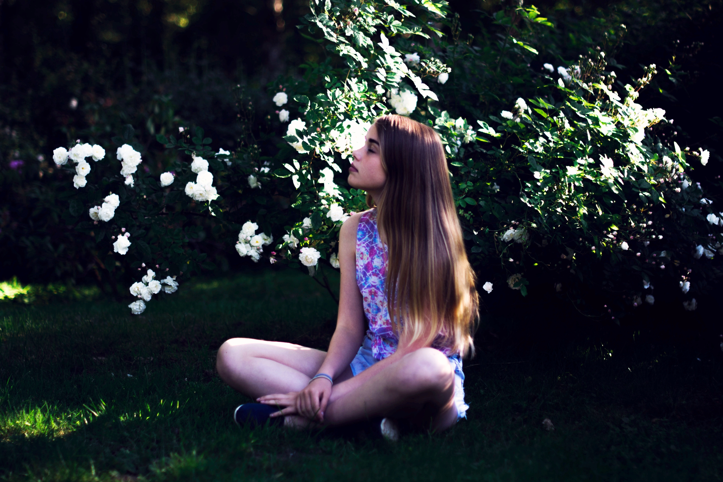 isabelle