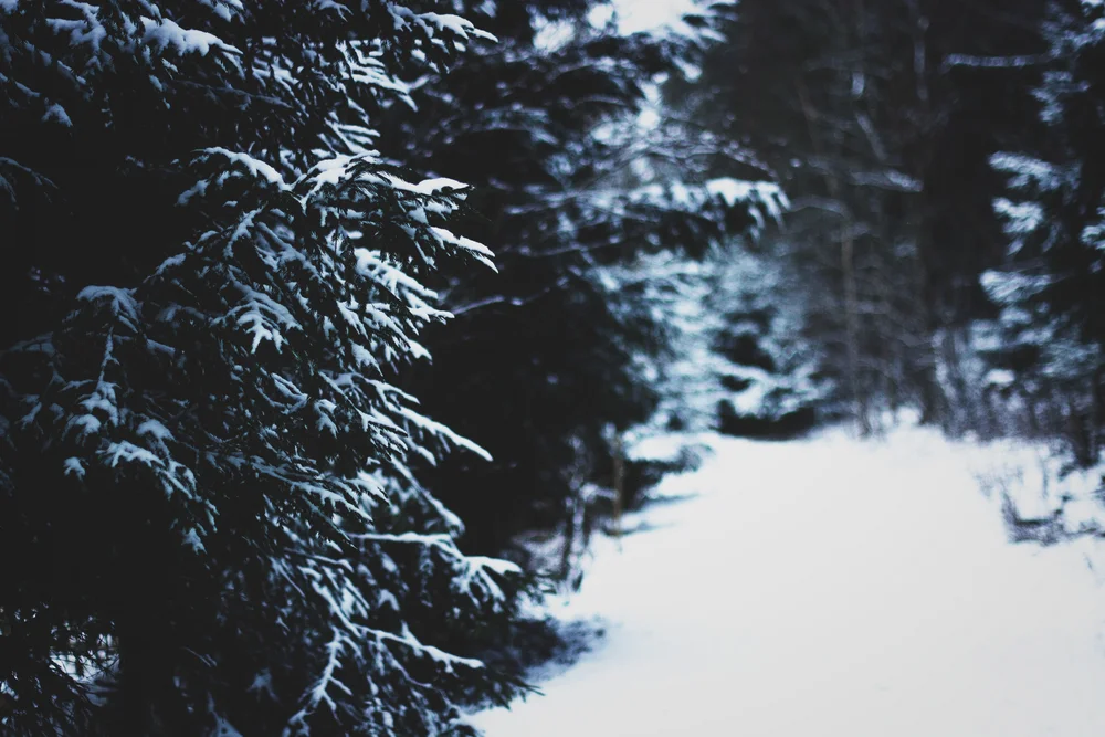 Nå må vinteren komme snart