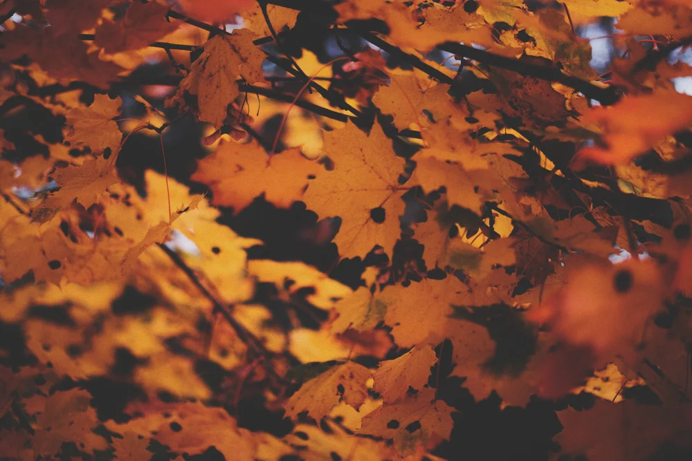 Oktober