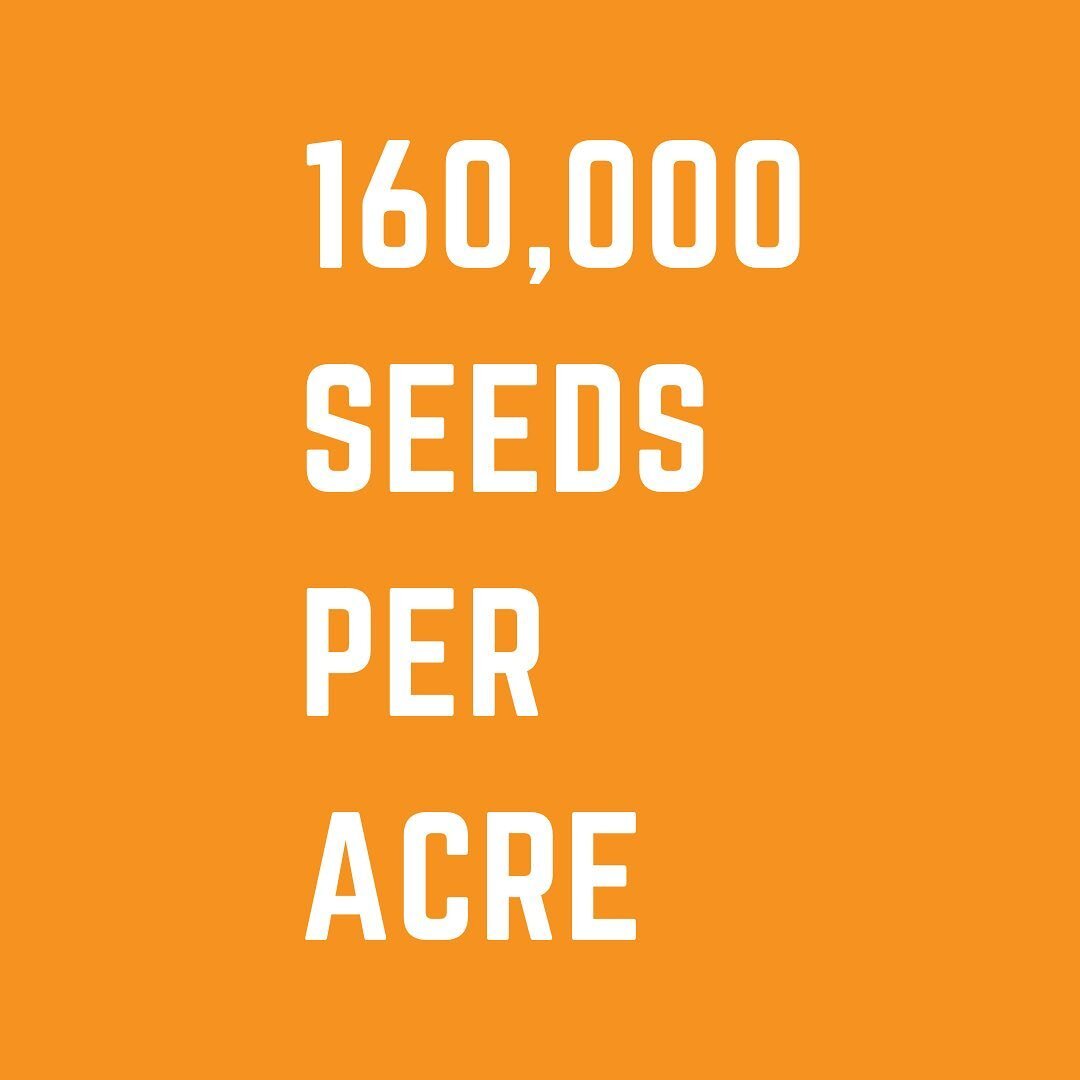 We planted more than 1 million soy bean seeds last year to ensure an attractive and sustainable environment for our growing herd. We are dedicated to year-round land management because it directly impacts the quality of your hunt. No off-season at Mo