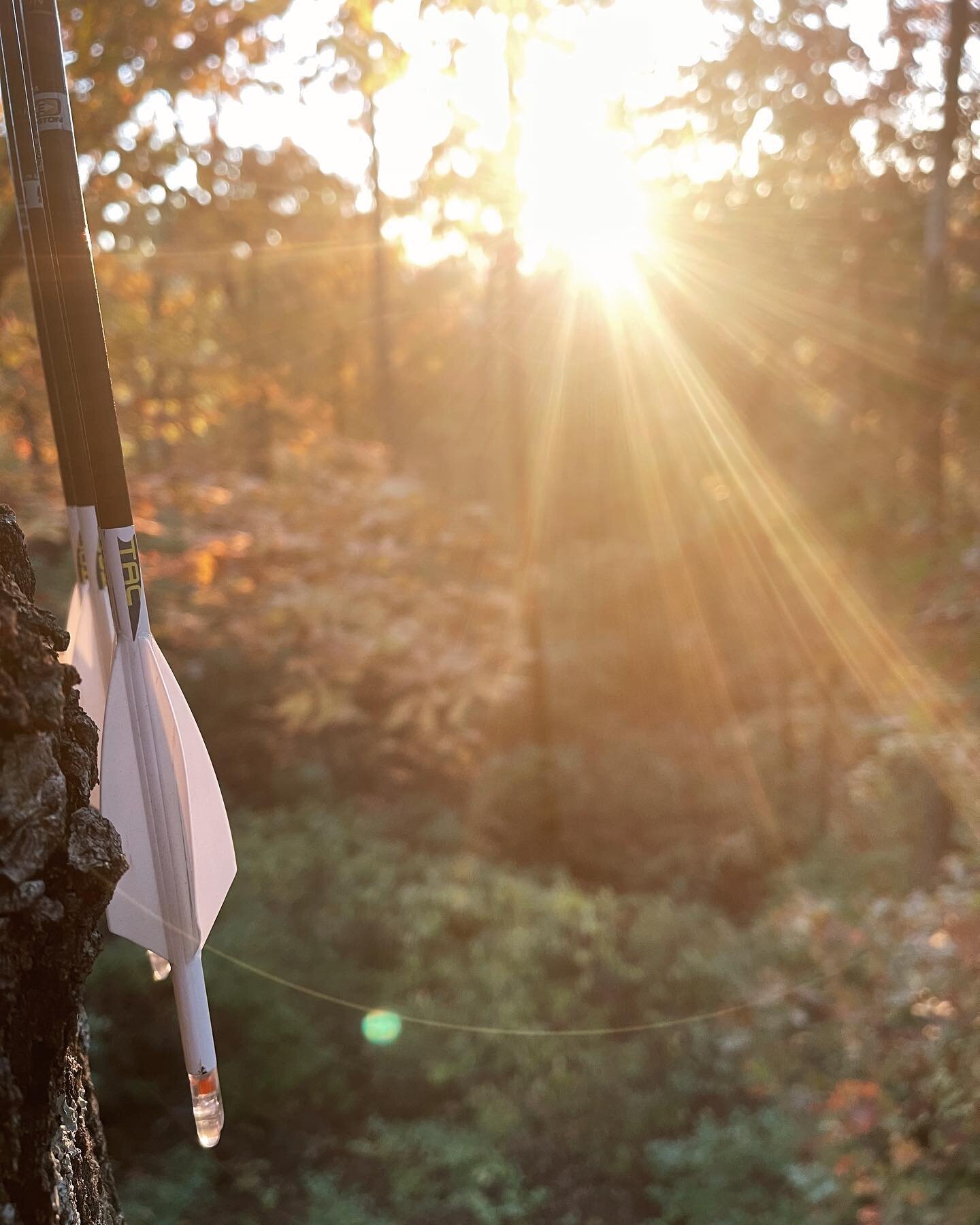 A good light through the trees shot gets us every time. 

📸:@stephanmiller