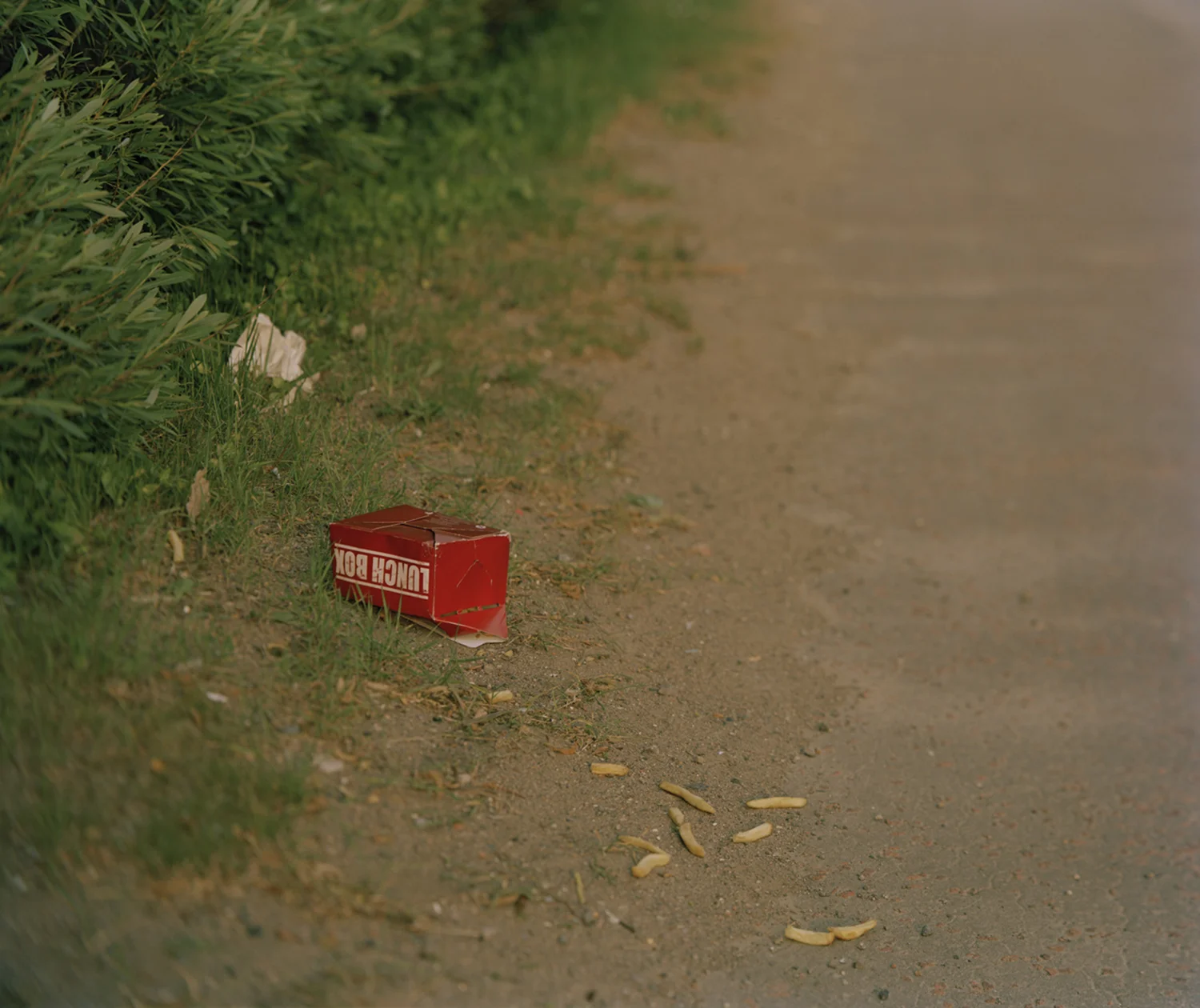 Lunch box, 2011